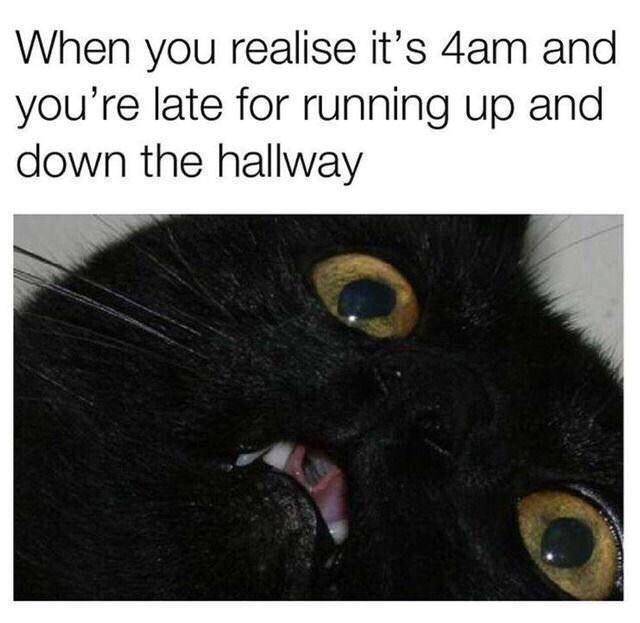 realise-s-4am-and-late-running-up-and-down-hallway.jpeg